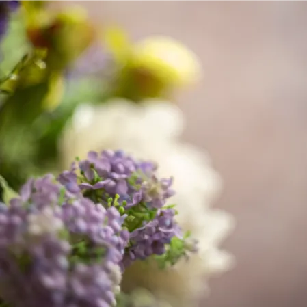 Lupotti Cosafareprima incasodidecesso